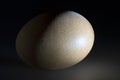 Egg in Partial Shadow Resembling an Orbiting Planet