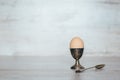 Egg in the pastern on a light Royalty Free Stock Photo