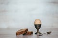 Egg in the pastern on a light Royalty Free Stock Photo