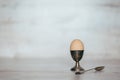 Egg in the pastern on a light Royalty Free Stock Photo