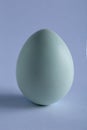 Egg perfect white macro close up large on blue background Royalty Free Stock Photo