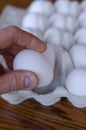 Egg picked by hand Royalty Free Stock Photo