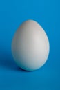 Egg plain white single minimal simple design on blue background Royalty Free Stock Photo