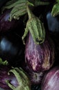 Egg Plant (Aubergines) Royalty Free Stock Photo