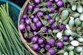 Egg plant is thai vegetable