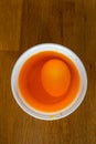 Egg in a plastic cup to get colored in orange for easter Royalty Free Stock Photo