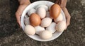 Egg plate hand holding.Heap of golden and white eggs with hand holding on a plate.Egg background with copy space for text Royalty Free Stock Photo