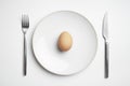 Egg on plate with knife and fork Royalty Free Stock Photo