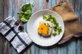 Egg poach on bread with condiments on a background Royalty Free Stock Photo
