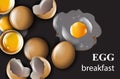 Egg realistic Vector on black background. Breakfast fresh eggs menu templates