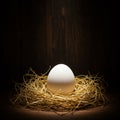 An egg rests in the center of a nest made of straw. The single white egg is illuminate Royalty Free Stock Photo
