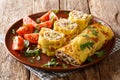 Egg roll with meat, cheese and pickled cucumbers close-up in a plate served with tomatoes. Horizontal