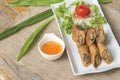 Egg roll or Spring roll or Popiah