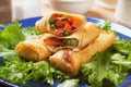 Egg rolls filled with vegetables Royalty Free Stock Photo