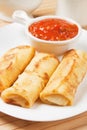 Egg rolls with tomato sauce Royalty Free Stock Photo