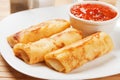 Egg rolls with tomato sauce Royalty Free Stock Photo