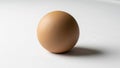 Egg s natural color and round form suggesting simplicity and balance. Royalty Free Stock Photo