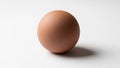 Egg s roundness and creates a subtle gradient of shadows highlighti Royalty Free Stock Photo