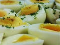 Egg salad Royalty Free Stock Photo