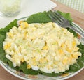 Egg Salad Meal Royalty Free Stock Photo