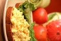 Egg salad sandwich Royalty Free Stock Photo