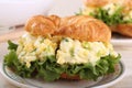 Egg Salad Sandwich Closeup Royalty Free Stock Photo