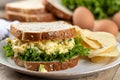 Egg salad sandwich on whole grain bread Royalty Free Stock Photo