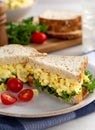 Egg Salad Sandwich on Whole Grain Bread Royalty Free Stock Photo