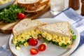 Egg Salad Sandwich on Whole Grain Bread Royalty Free Stock Photo