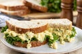Egg salad sandwich on whole grain bread Royalty Free Stock Photo