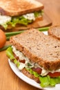 Egg salad sandwiches on brown bread Royalty Free Stock Photo