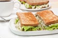 Egg Salad Sandwiches and Coffee Royalty Free Stock Photo