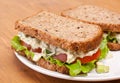 Egg salad sandwiches Royalty Free Stock Photo