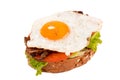 Egg sandwich isolated Royalty Free Stock Photo