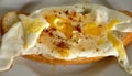 An egg sandwich with spices Royalty Free Stock Photo