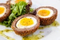 Egg in Sausage Shell Royalty Free Stock Photo