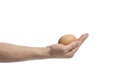 Egg serving hand Royalty Free Stock Photo