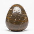 Egg-shaped polished stone with a smooth surface, displaying a dark brown color Royalty Free Stock Photo