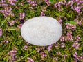 Egg shaped rock