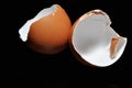 Egg shell  on black background Royalty Free Stock Photo