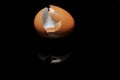 Egg shell  on black background Royalty Free Stock Photo