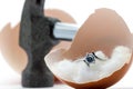 Egg shell is broken by a hammer and fake diamond ring in the egg shell. Royalty Free Stock Photo
