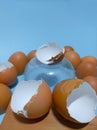 Egg shell  clean blue background. Royalty Free Stock Photo