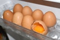 Egg shell crack in refrigerator Royalty Free Stock Photo