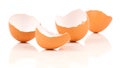Egg shell crack Royalty Free Stock Photo