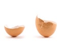 Egg shell cracked in two parts Royalty Free Stock Photo