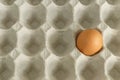 Egg shell cranked on container Royalty Free Stock Photo