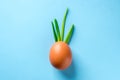 Egg shell and feathers green onion imitation sprout, leaves pineapple, fruit, Iroquois hair hairstyle on face, on blue colored bac Royalty Free Stock Photo