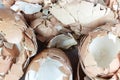 Egg shell many lot Royalty Free Stock Photo