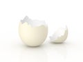 Egg shell mkII